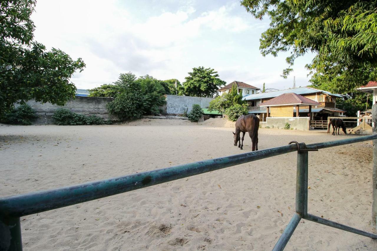 Mesari Beach Inn & Stables Seminyak Eksteriør billede